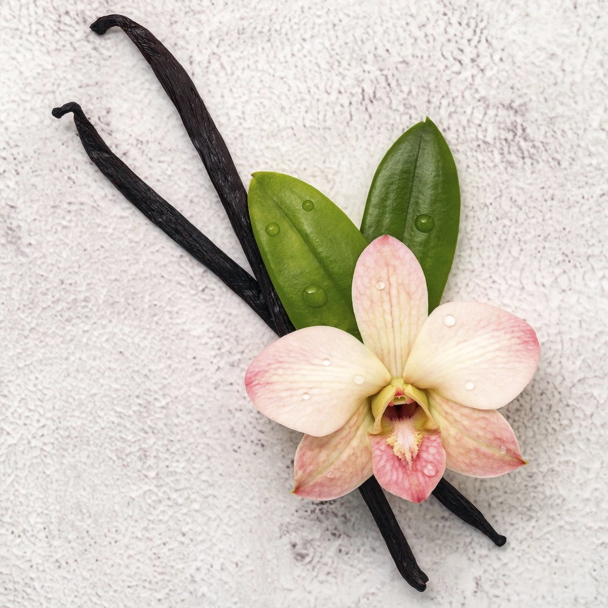 Disney Frozen Frozen Ll - Geurset - Parfum 50ml + Douche Gel 100ml - Cadeautip! - Afbeelding 3