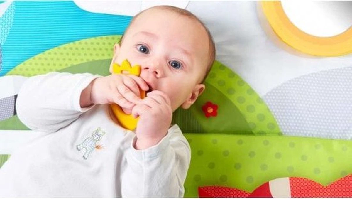 Tiny Love Supermat Speelmat - Meadow Days - Afbeelding 5