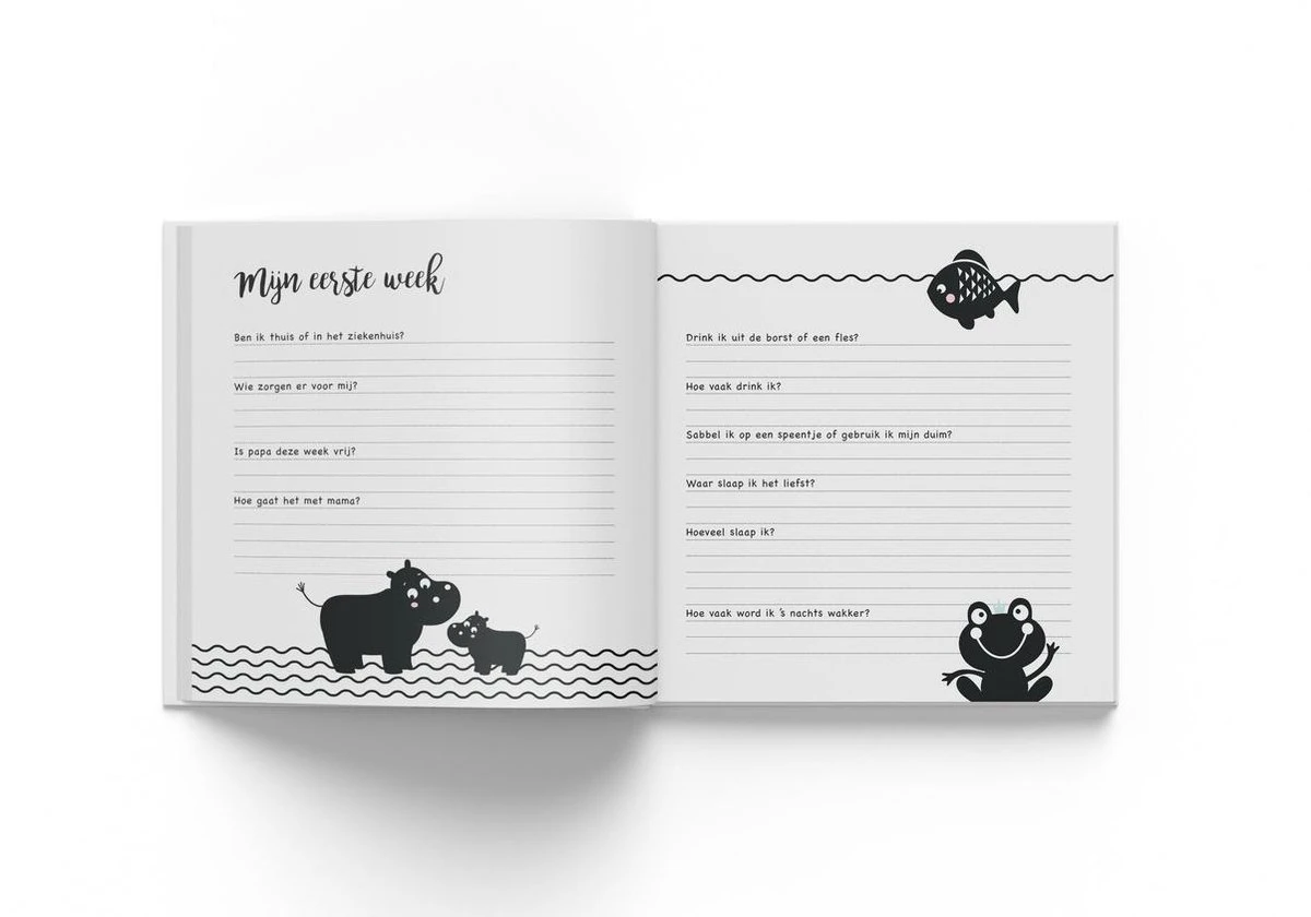 Hello - Baby's Eerste Jaar - Afbeelding 3