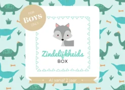 Zindelijkheidsbox - Jongen Editie - Zindelijkheidstraining Kind - Vanaf 2 Jaar - Incl Beloningssysteem - Gratis Online Support