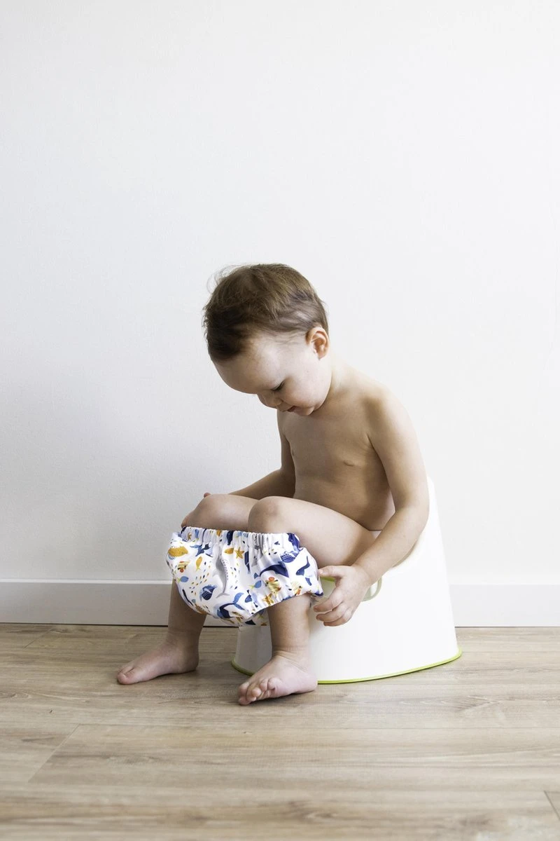 HappyBear - Oefenbroekje Boerderij | 2-4 Jaar - Onesize - Zindelijkheidstraining - Potjestraining - Afbeelding 3