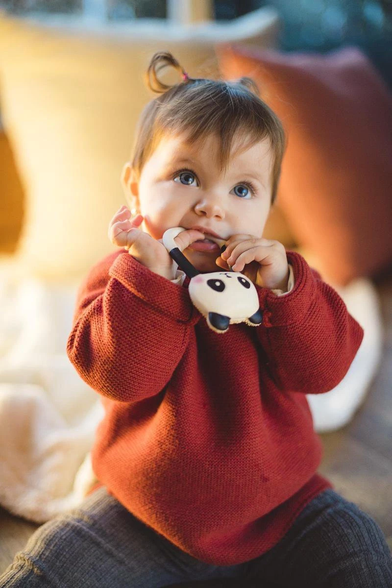 Lanco Rubberen Bijtring - Kori De Panda - Zwart - Wit - Afbeelding 3